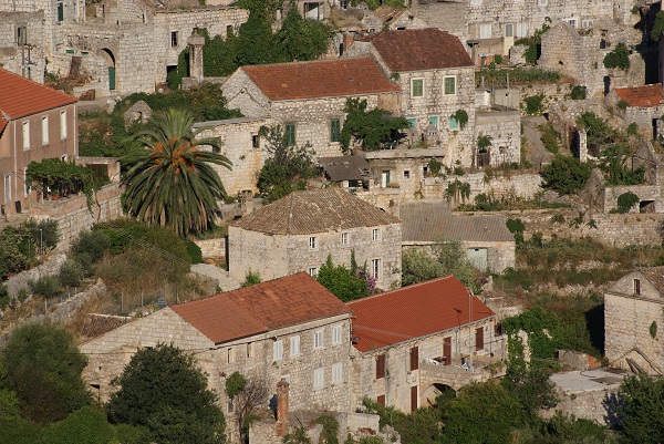 I PRAWIE OSTATNI / DSC06651.JPG DSC06651.JPG