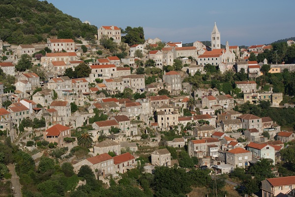 NASTĘPNY / DSC06633.JPG DSC06633.JPG