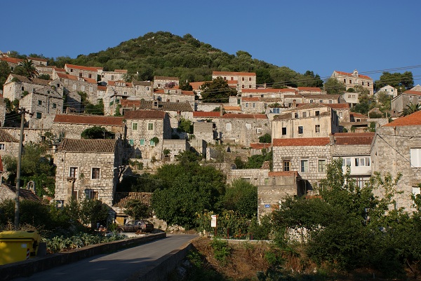 NASTĘPNY / DSC06412.JPG DSC06412.JPG