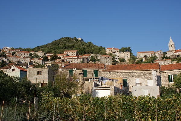 WIDOCZEK / DSC06409.JPG DSC06409.JPG