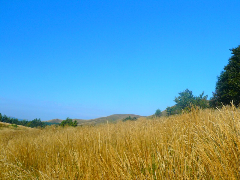 Bieszczady 2009.JPG