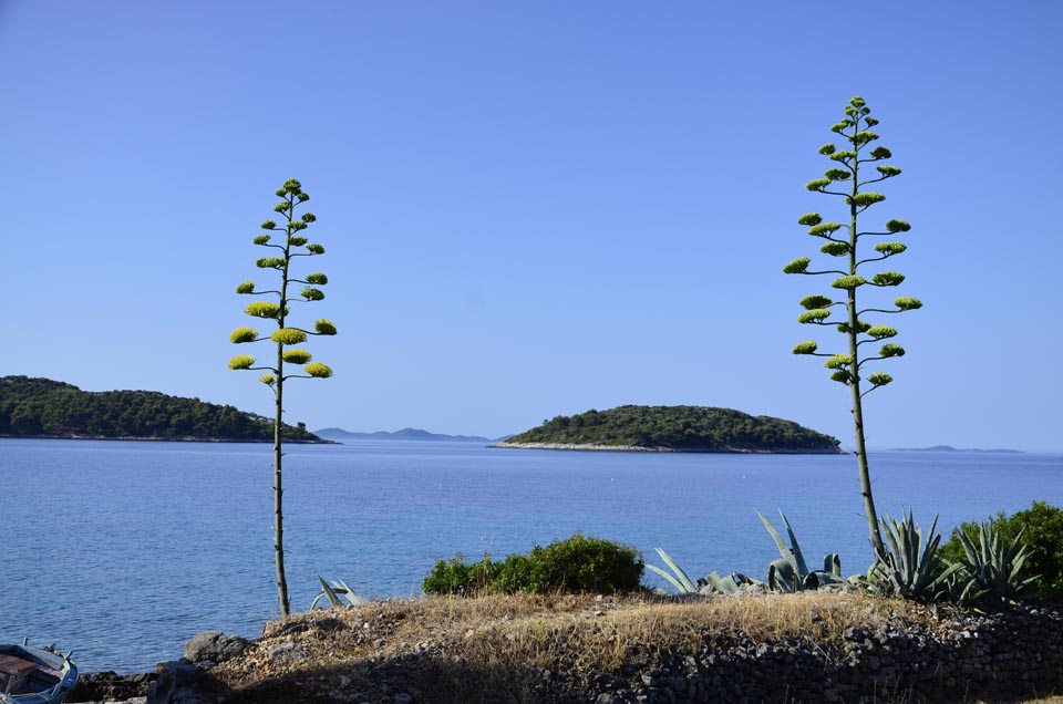 korcula.jpg