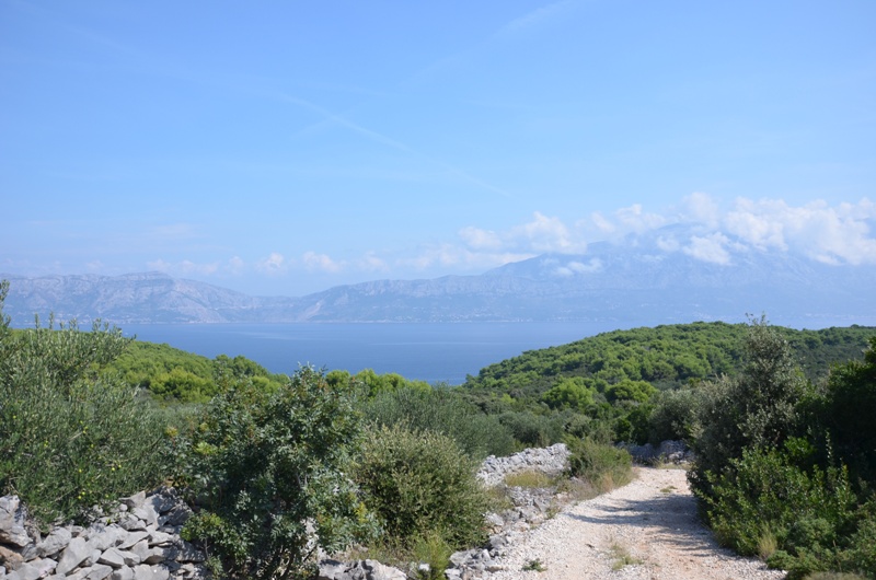 Droga w nieznane / DSC_0428.JPG DSC_0428.JPG