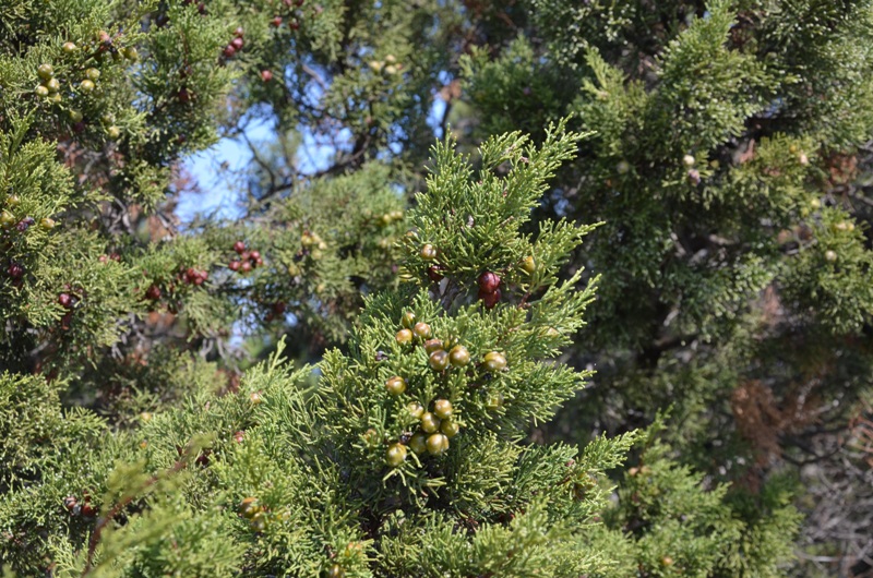 Droga w nieznane / DSC_0431.JPG DSC_0431.JPG