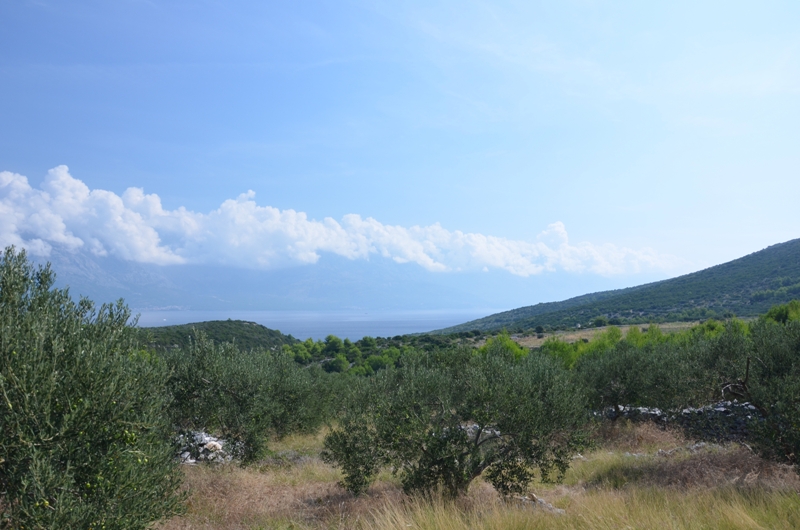 Droga w nieznane / DSC_0433.JPG DSC_0433.JPG