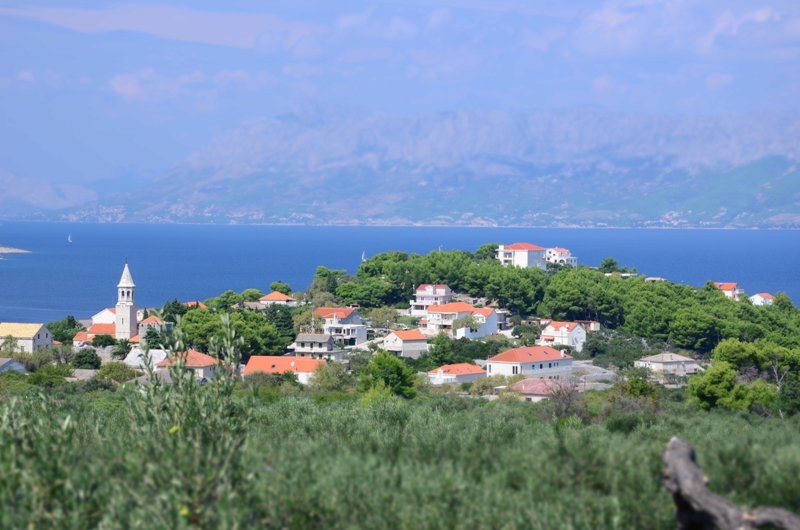 Odwrót :) / DSC_0441.JPG DSC_0441.JPG