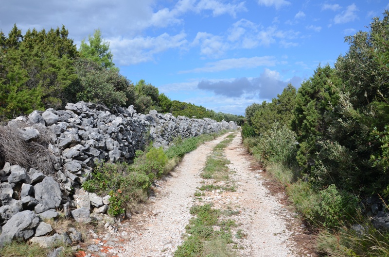 Bezdroża Povlji / DSC_0471.JPG DSC_0471.JPG