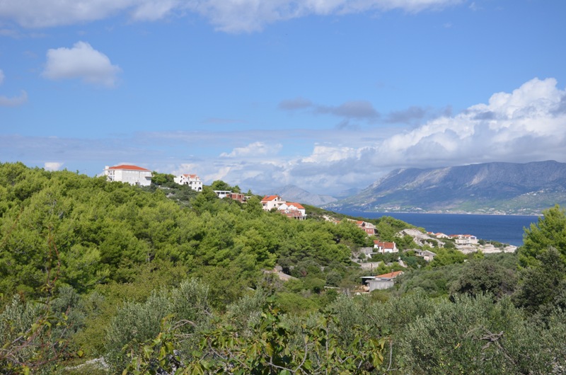 Bezdroża Povlji / DSC_0478.JPG DSC_0478.JPG