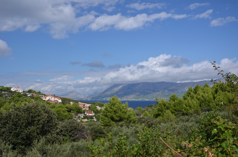 Bezdroża Povlji / DSC_0479.JPG DSC_0479.JPG