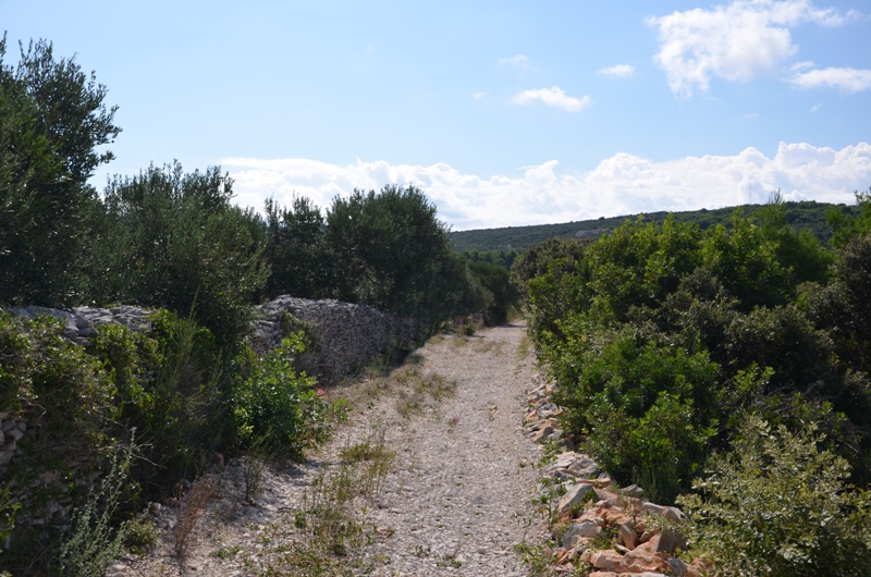 Bezdroża Povlji / DSC_0482.JPG DSC_0482.JPG