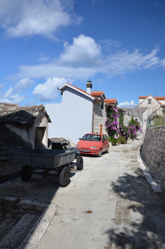 Povljia / DSC_0488.JPG DSC_0488.JPG