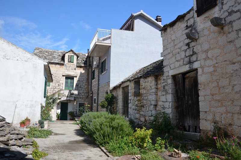 Povljia / DSC_0489.JPG DSC_0489.JPG