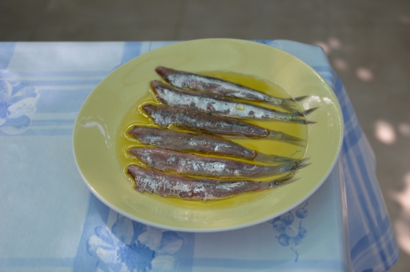 Sardele / DSC_0495.JPG DSC_0495.JPG