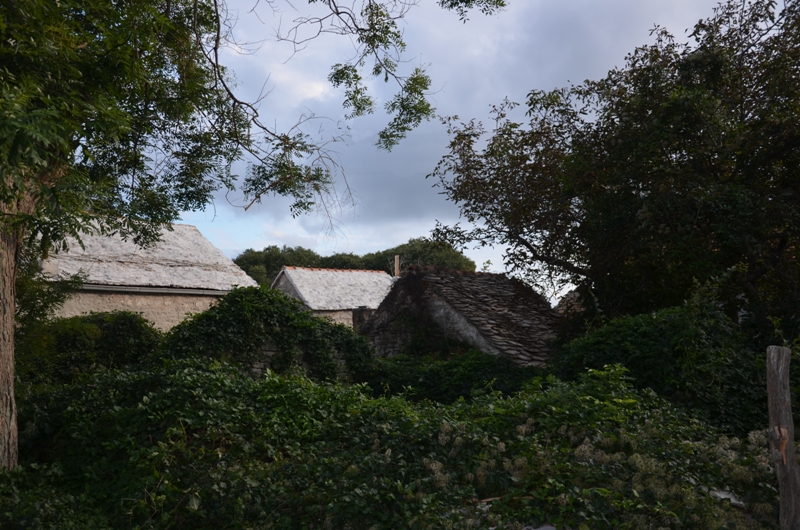 Gornij Humac / DSC_0504.JPG DSC_0504.JPG