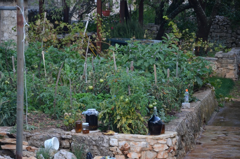 Gornij Humac / DSC_0508.JPG DSC_0508.JPG