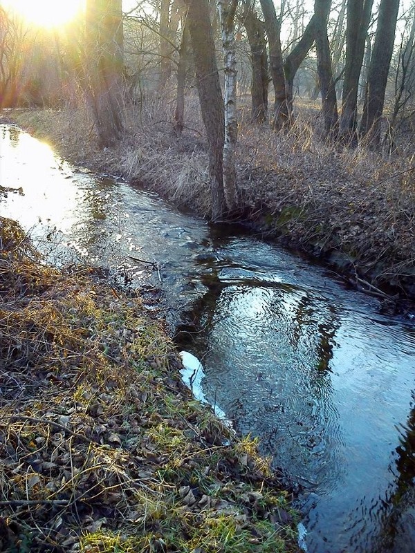 Turka 1 (600x800).jpg