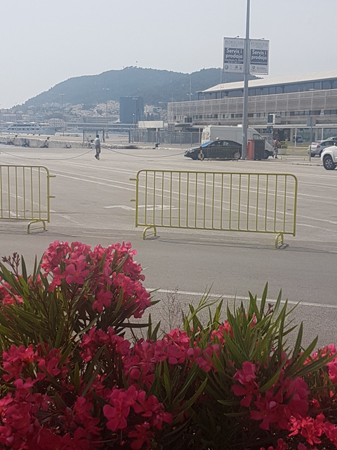 W oczekiwaniu / 20170616_153746.jpg 20170616_153746.jpg