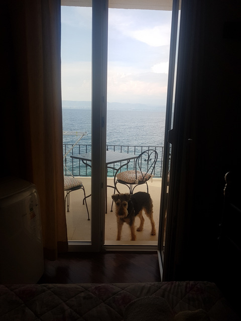 W oczekiwaniu / 20170616_181041.jpg 20170616_181041.jpg