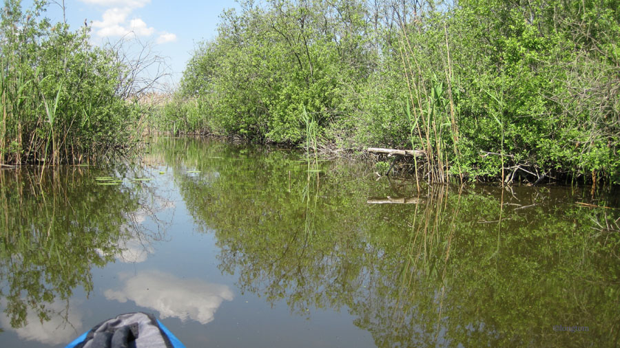 paddling in Poland.jpg