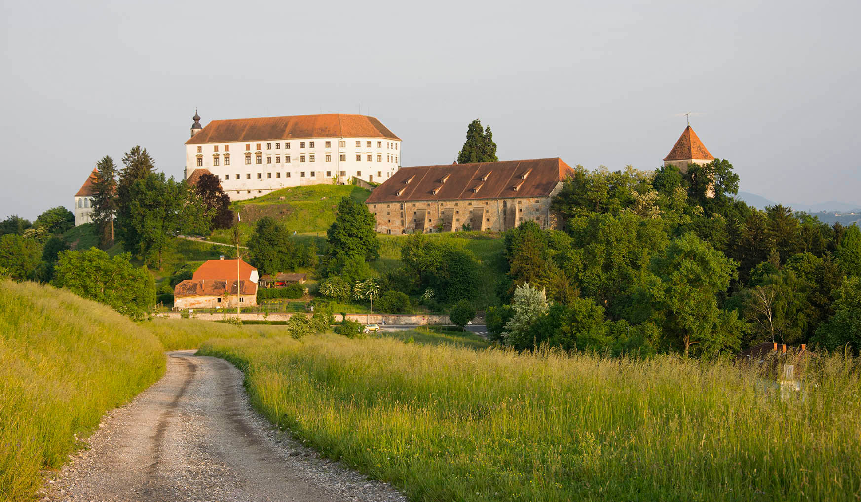 Ptuj_zamek.jpg