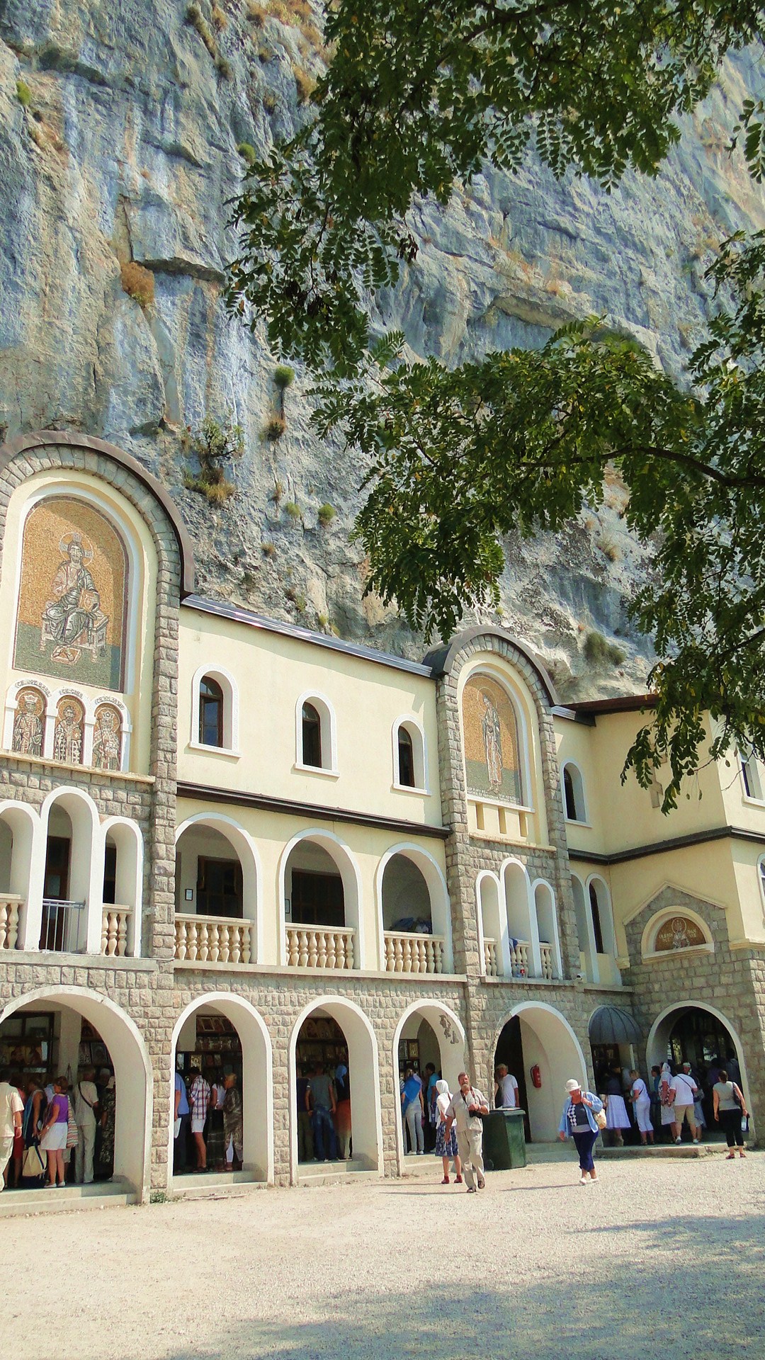 DSC03490.JPG DSC03490.JPG