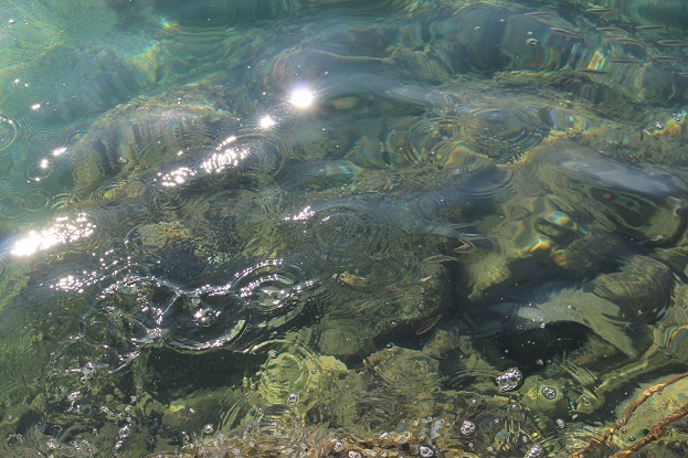 Czystość wody? Sprawdzone! / A (1).JPG A (1).JPG