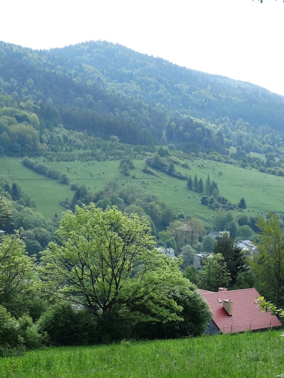 Beskid Sadecki_2015 002.jpg