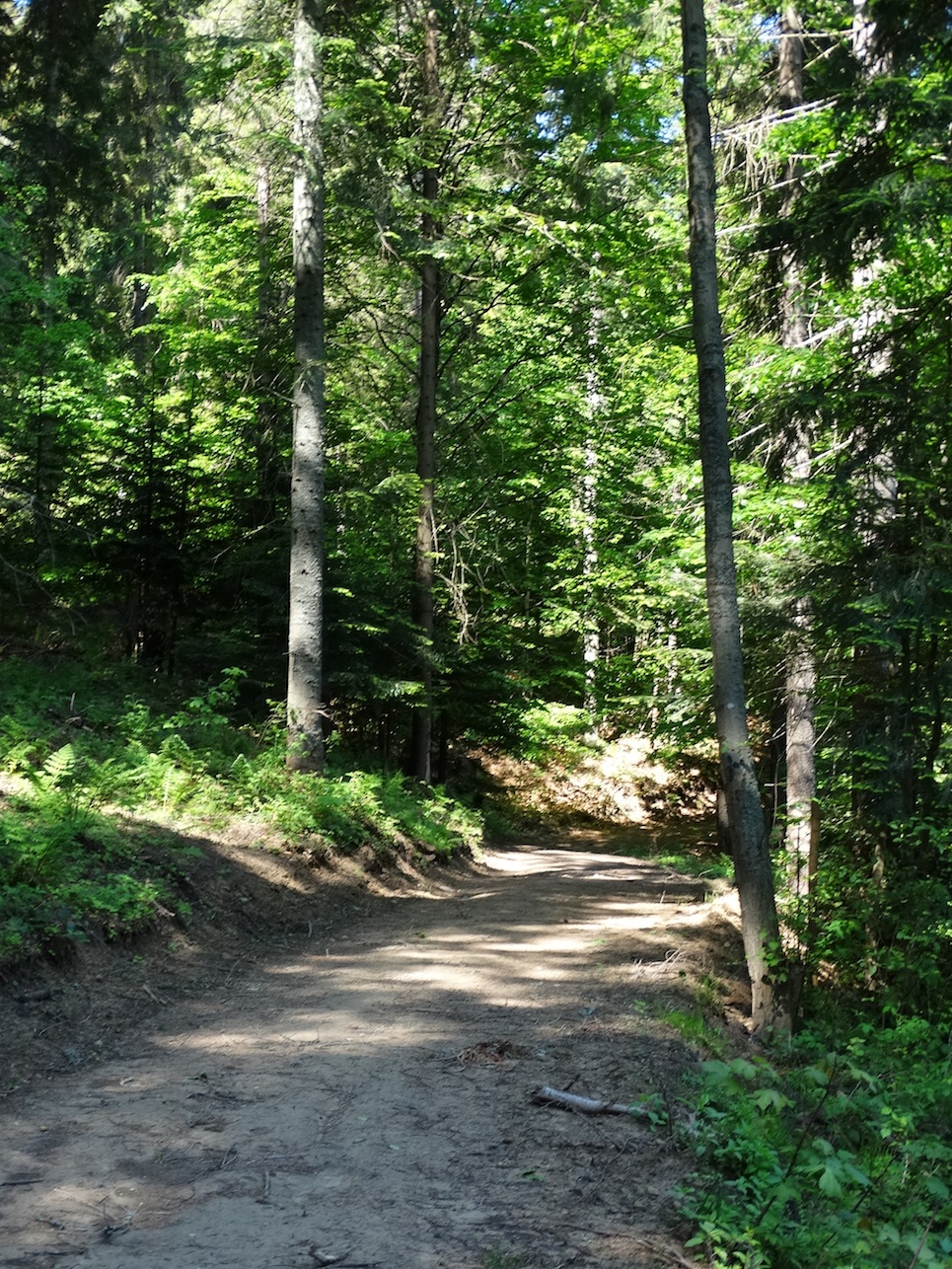 Beskid Sadecki_2015 006.jpg