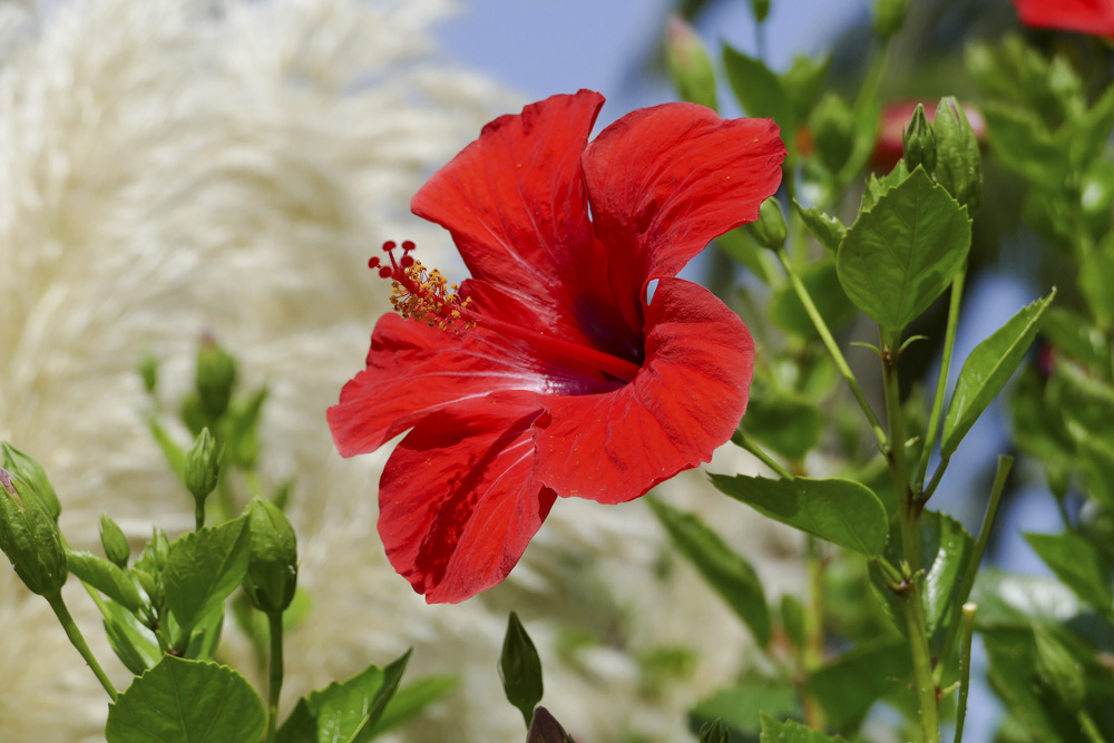 i jeszcze jeden / P1030019.JPG P1030019.JPG