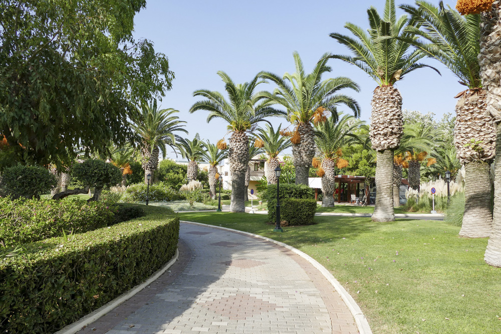 i palmy / P1030041.JPG P1030041.JPG