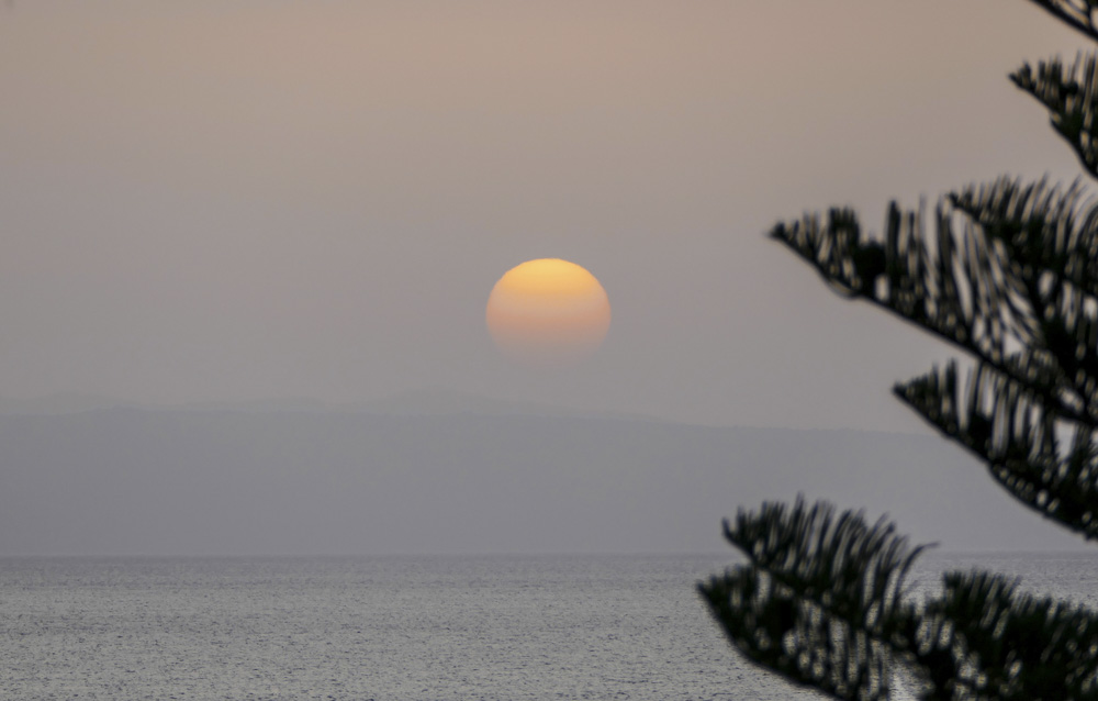 P1030071.JPG P1030071.JPG