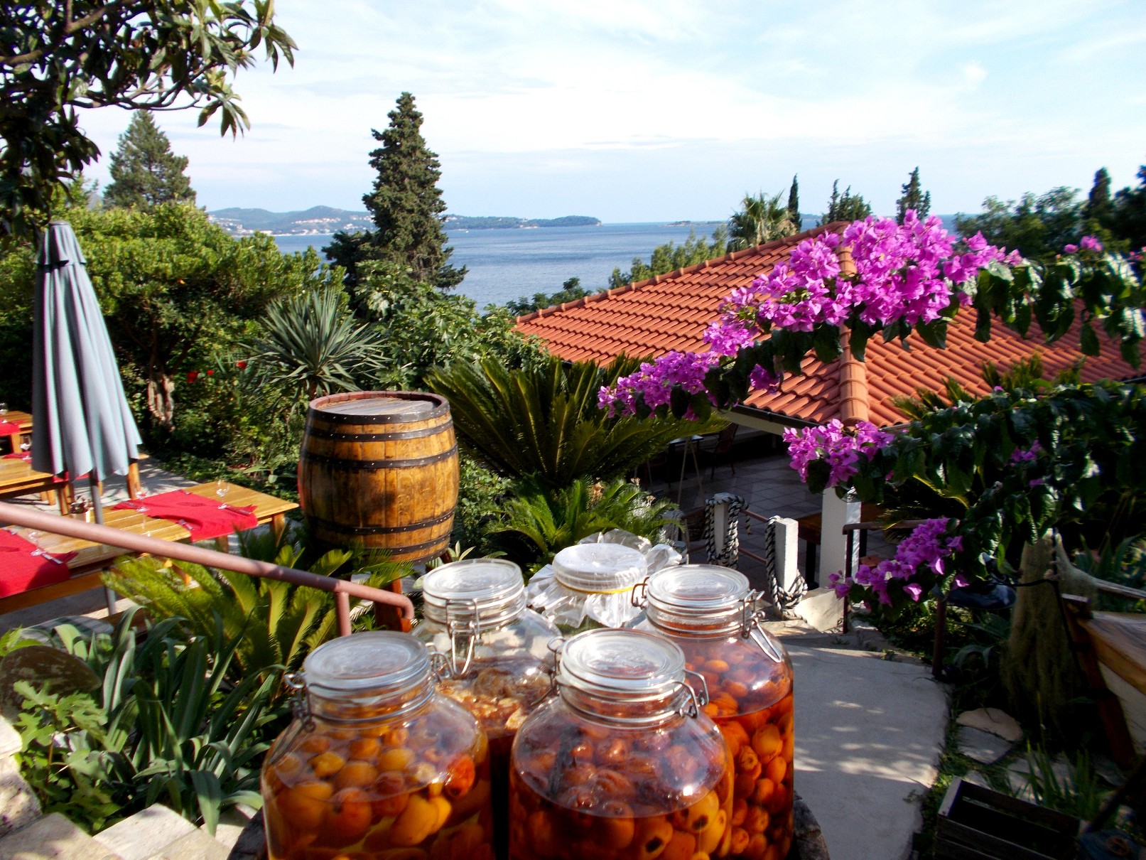 Marinero, Mlini. / 39.JPG 39.JPG