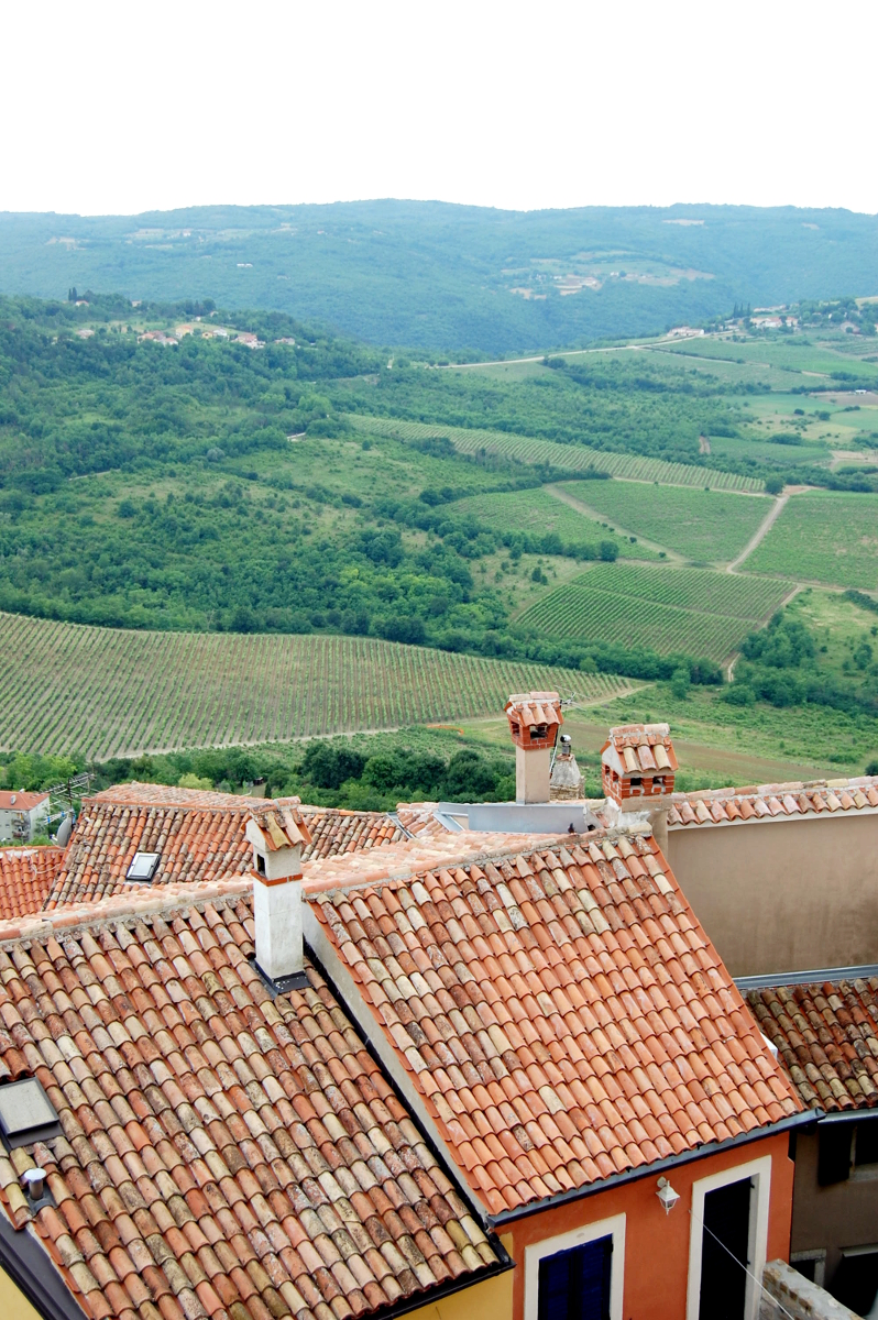 Motovun4.JPG