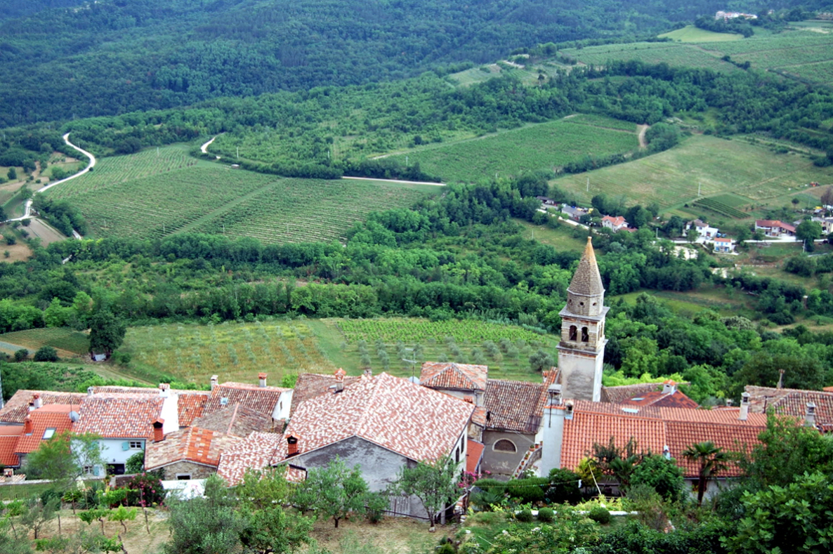 Motovun5.JPG