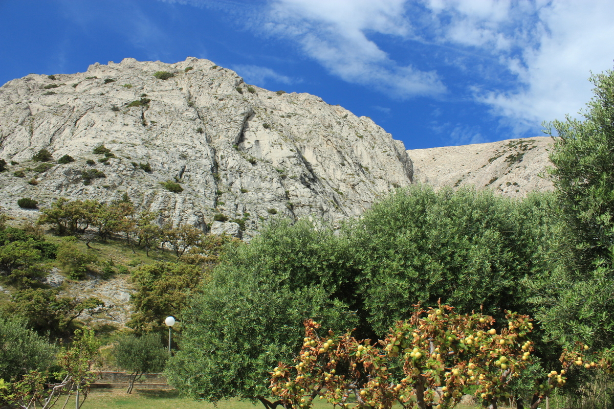 IMG_4219.JPG IMG_4219.JPG