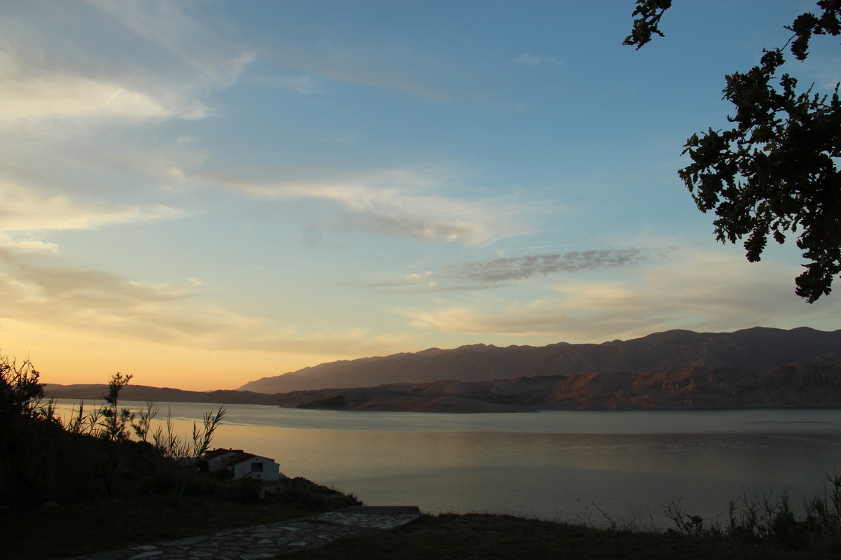 IMG_4464.JPG IMG_4464.JPG