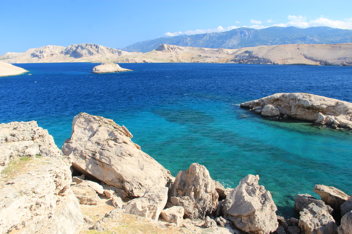 IMG_5408.JPG IMG_5408.JPG