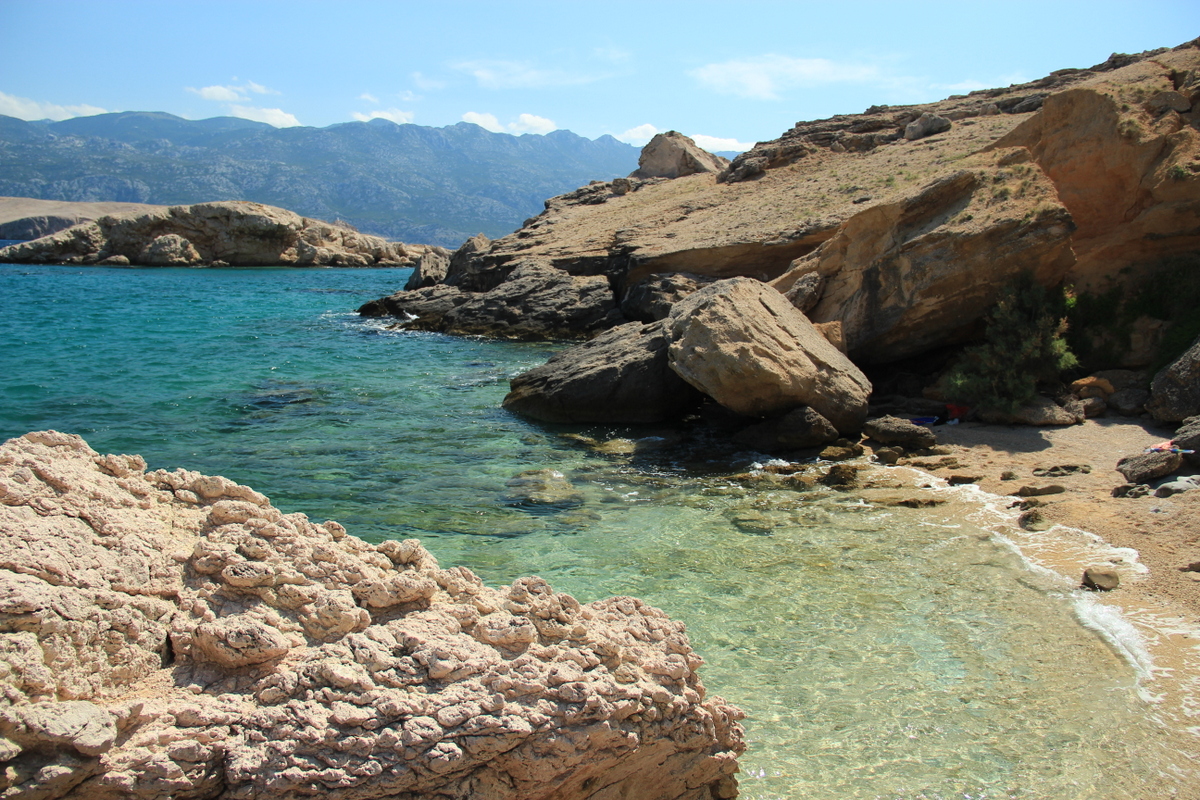 IMG_5557.JPG IMG_5557.JPG