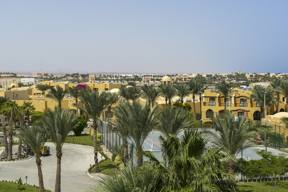 . / P1160440.jpg P1160440.jpg