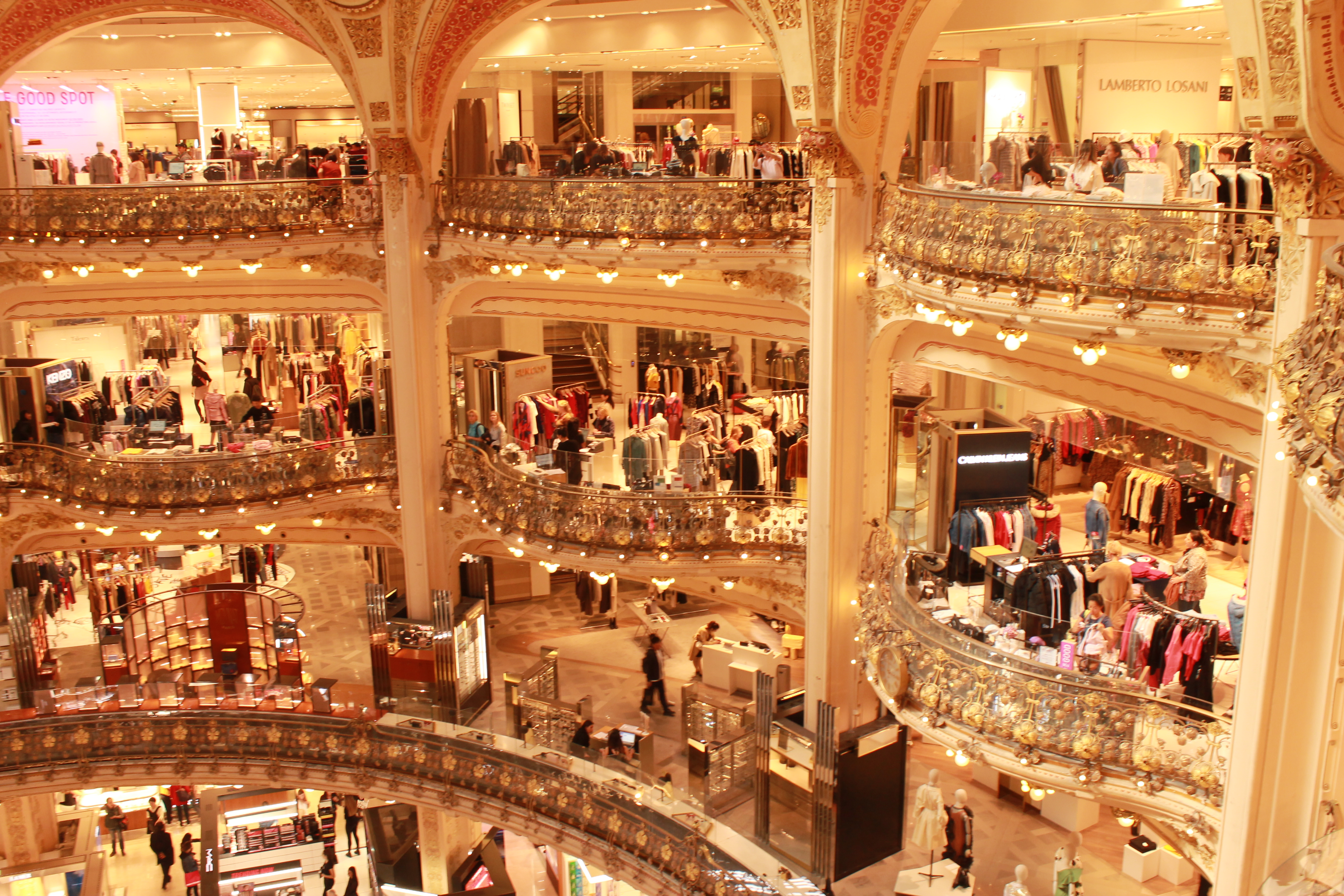 IMG_7980.JPG IMG_7980.JPG