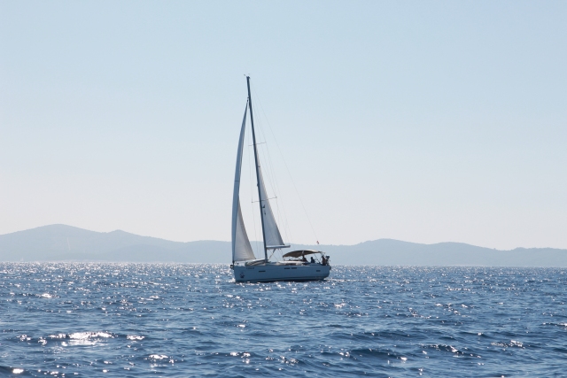 IMG_3590.JPG IMG_3590.JPG