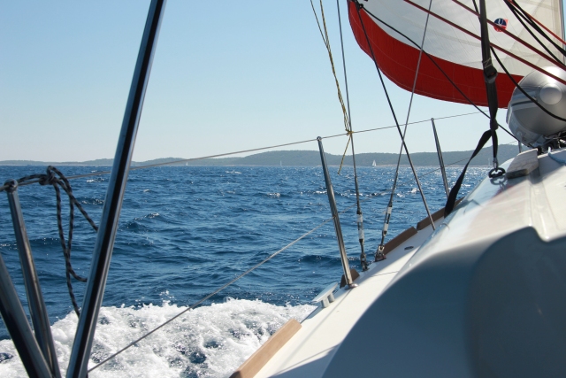 IMG_3600.JPG IMG_3600.JPG