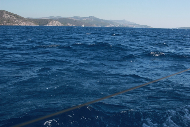 IMG_3616.JPG IMG_3616.JPG