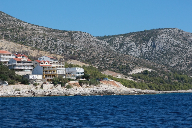 IMG_3730.JPG IMG_3730.JPG