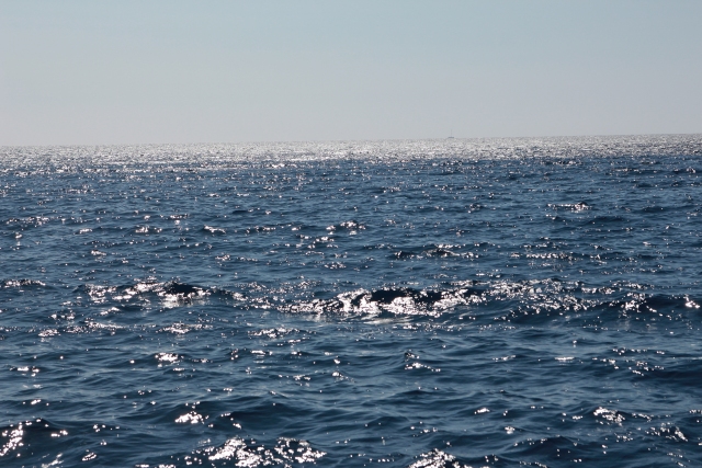 IMG_3731.JPG IMG_3731.JPG