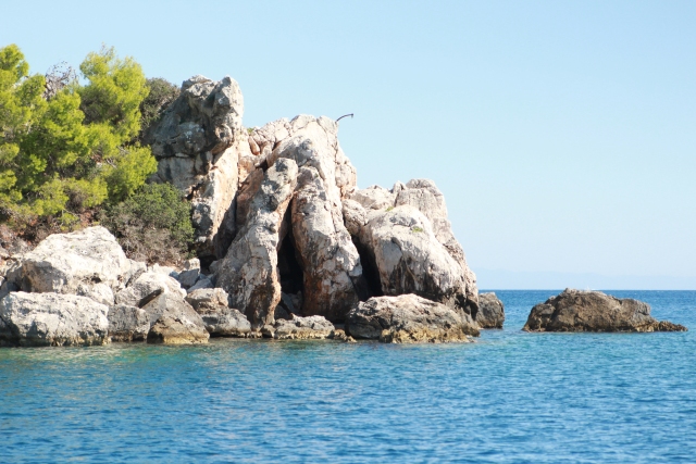 IMG_3743.JPG IMG_3743.JPG