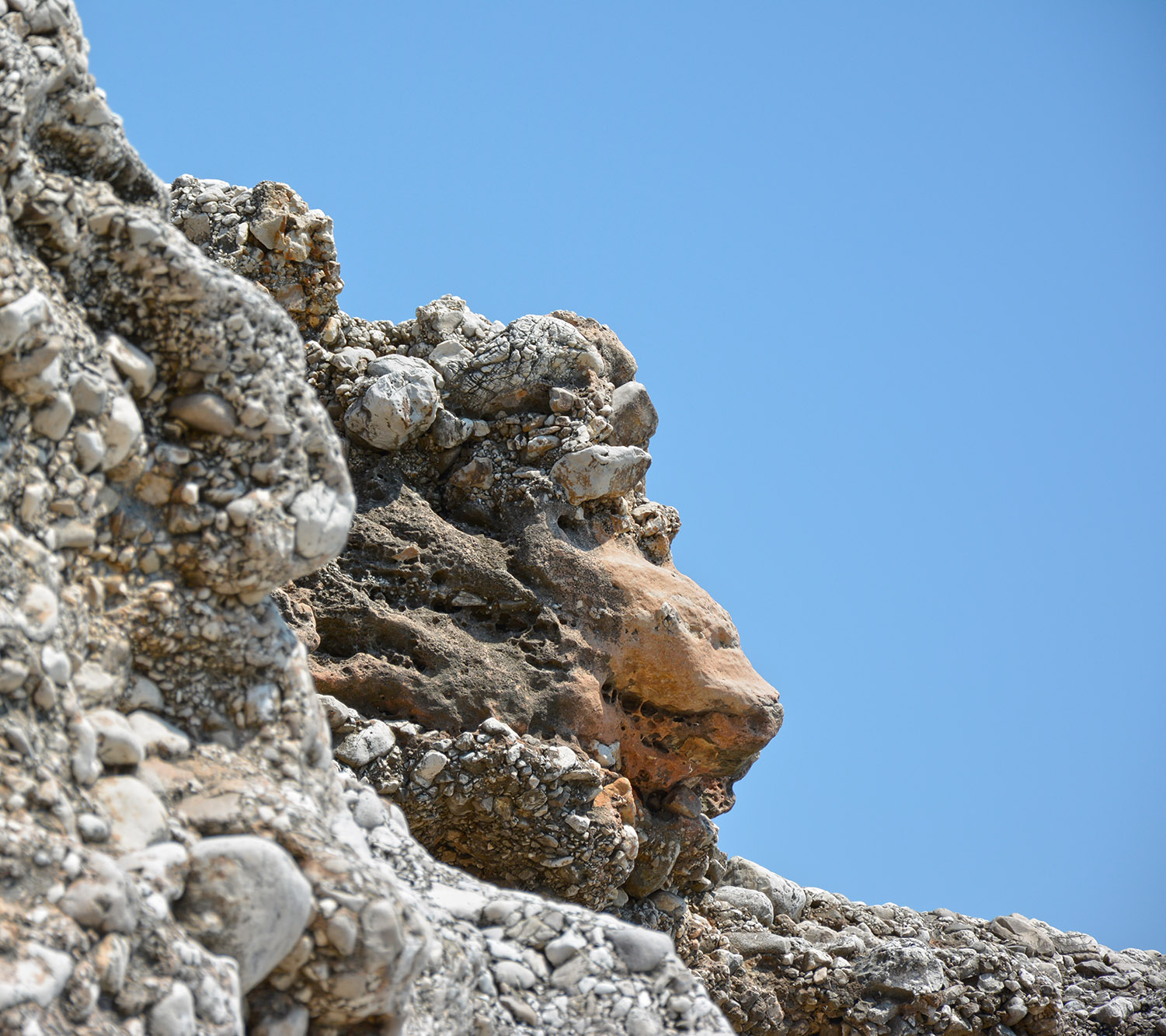 Szympans / Dermi szympans.jpg Dermi szympans.jpg