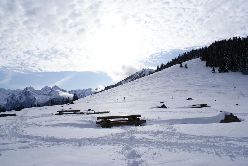 tatry wysokie z rusinowej polany.jpg