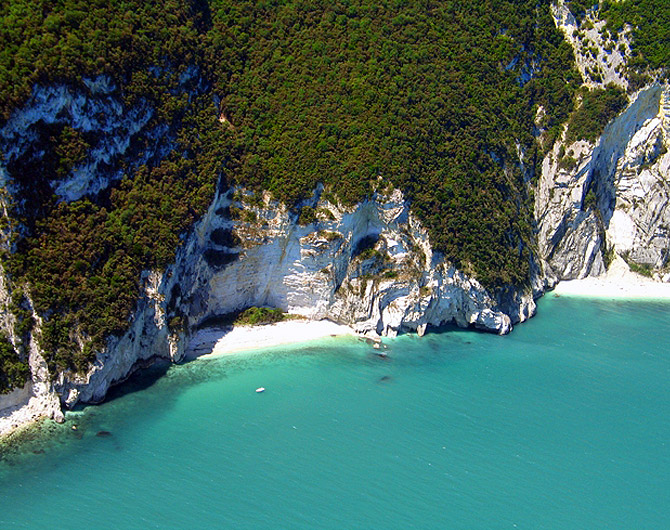 gabbiani i forni.jpg gabbiani i forni.jpg