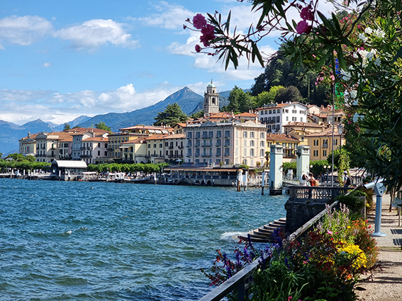 20210823_110415_cro.jpg 20210823_110415_cro.jpg